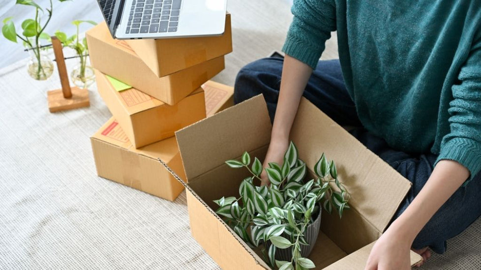 Sprout Happiness: Send Online Plant Gifts in Gurgaon for Unforgettable Moments