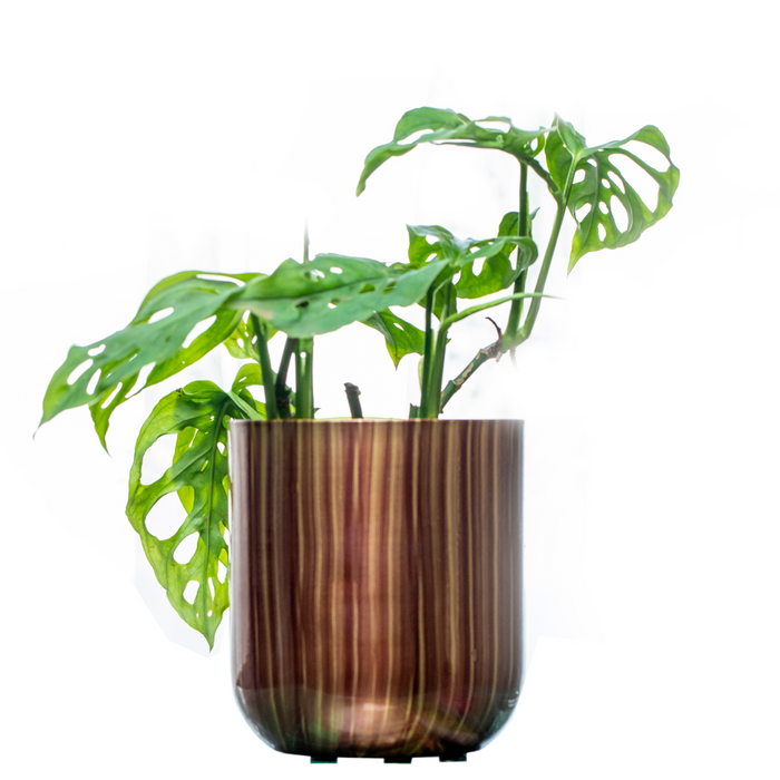 MP Long Hori Broad Metal Pot (without plant)